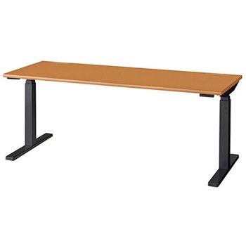 昇降デスク リフティーナ ナイキ