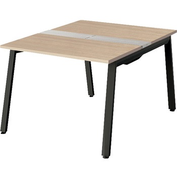 大型ベンチテーブル(基本型)(両面タイプ) ナイキ