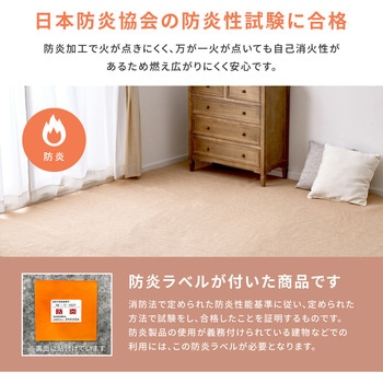 防炎加工の平織カーペット - 萩原