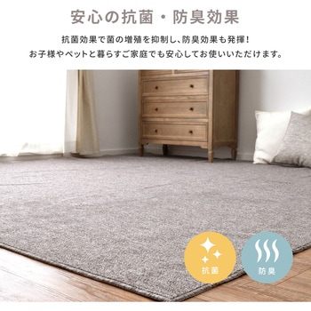 防炎加工の平織カーペット - 萩原