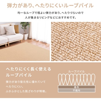 防炎加工の平織カーペット - 萩原