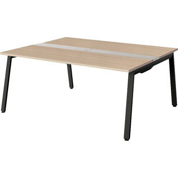 大型ベンチテーブル(基本型)(両面タイプ) ナイキ