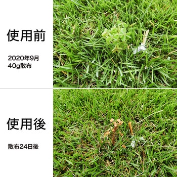 シバキーププラスV レインボー薬品