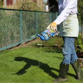 シバキーププラスV レインボー薬品