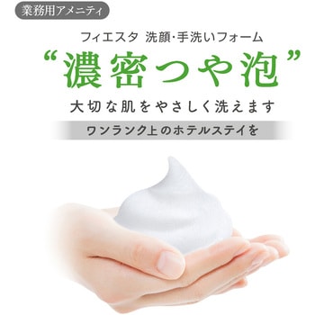 フィエスタ洗顔・手洗いフォーム 10L 花王