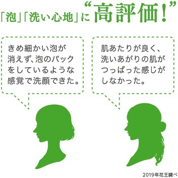 フィエスタ洗顔・手洗いフォーム 10L 花王