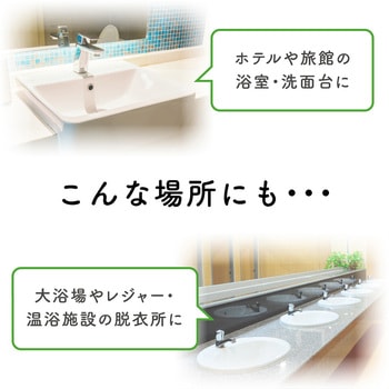 フィエスタ洗顔・手洗いフォーム 10L 花王