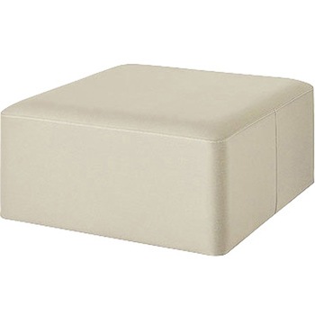 E5105-IV �X�c�[�� E510�^ �`���R�� chokon �i�C�L ��900mm����450mm  E5105-IV 62496388