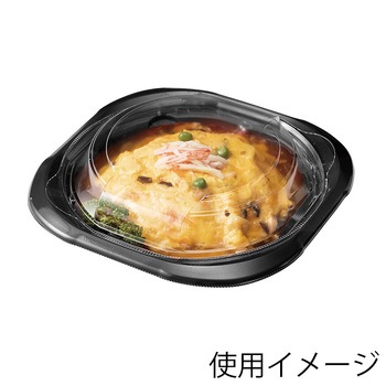 プレート容器 バイオデリカ サラエル リスパック