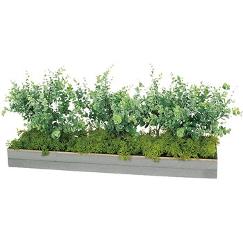 ワイドグリーン(H350) ナイキ