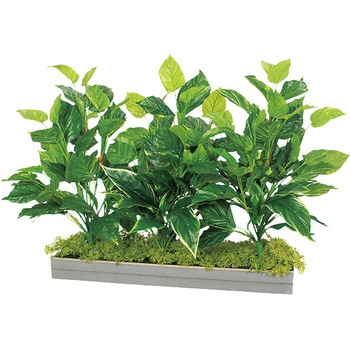 ワイドグリーン(H650) ナイキ