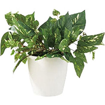 人工樹木(ポトス) ナイキ