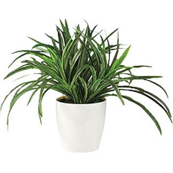 人工樹木(ドラセナ) ナイキ