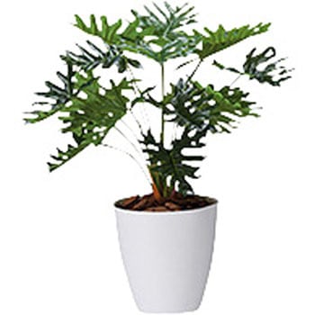 人工樹木(クッカバラ) ナイキ