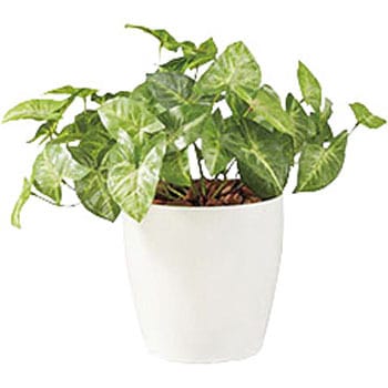 人工樹木(カラージューム) ナイキ