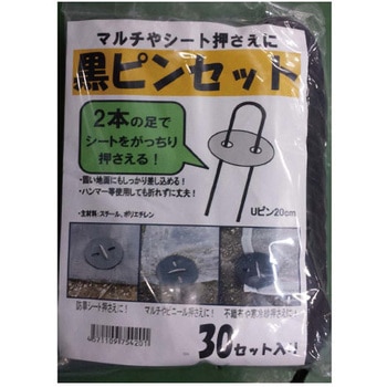 黒ピンセット SNアグリーン