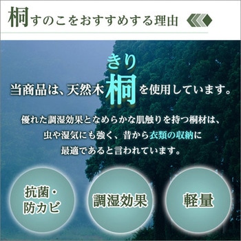 天然木使用 通気性抜群 抗菌・防カビ・調湿効果 軽量押し入れ桐すのこ 2枚入り ホームテイスト