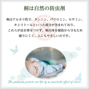 天然木使用 通気性抜群 抗菌・防カビ・調湿効果 軽量押し入れ桐すのこ 2枚入り ホームテイスト
