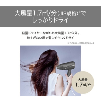 ヘアドライヤー プロテクトイオン 折りたたみ 軽量 大風量 切替スイッチ 3段階(TURBO-SET-COOL) 静電気抑制 お手入れ簡単 インレット セットフード付属 テスコム
