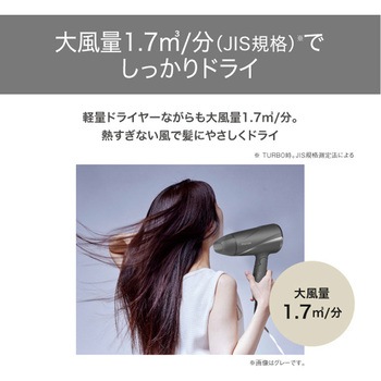 ヘアドライヤー プロテクトイオン 折りたたみ 軽量 大風量 切替スイッチ 3段階(TURBO-SET-COOL) 静電気抑制 お手入れ簡単 インレット セットフード付属 テスコム