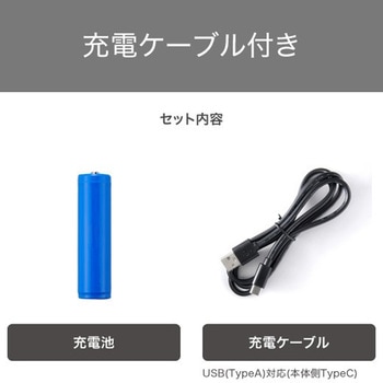 コードレス ヘアアイロン USB充電式 17mm ミニ ストレートアイロン 160~210℃(3段階調節) 立ち上がり約30秒 自動電源OFF機能 海外対応 テスコム