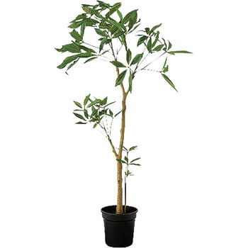 人工樹木(パキラ) ナイキ