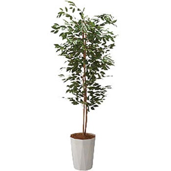 人工樹木 ナイキ