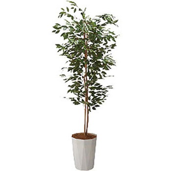 人工樹木 ナイキ