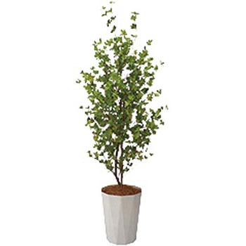 人工樹木(ドウダンツツジ) ナイキ