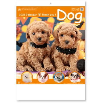 壁掛けカレンダーサンキュー・ドッグ - 新日本カレンダー