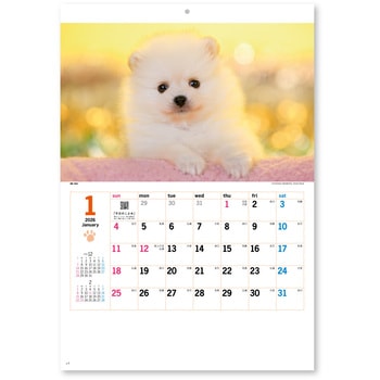 壁掛けカレンダーサンキュー・ドッグ - 新日本カレンダー