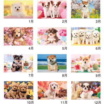 壁掛けカレンダーサンキュー・ドッグ - 新日本カレンダー