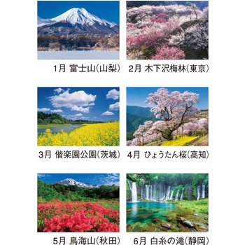 壁掛けカレンダー四季の日本 新日本カレンダー