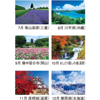 壁掛けカレンダー四季の日本 新日本カレンダー