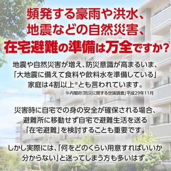 家庭用防災セット 2人用 - アーテック[学校教材・教育玩具]