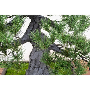 人工樹木/人工観葉植物 松盆栽 小 GO-518 岩や