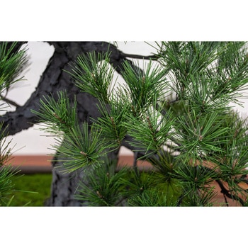 人工樹木/人工観葉植物 松盆栽 小 GO-518 岩や