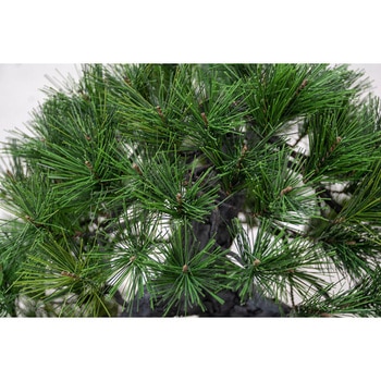 人工樹木/人工観葉植物 松盆栽 小 GO-518 岩や