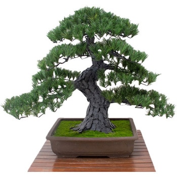 人工樹木/人工観葉植物 松盆栽 大 GO-519 岩や