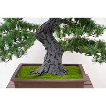 人工樹木/人工観葉植物 松盆栽 大 GO-519 - 岩や