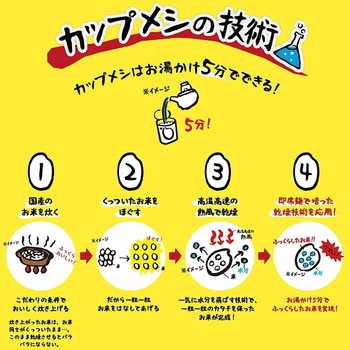 カップヌードル ぶっこみ飯 日清食品