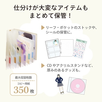 myfa コレクションストックファイル B6 6仕切(7ポケット) リヒトラブ