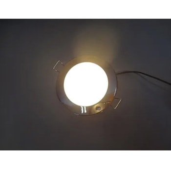 LEDダウンライト 電球色 DC12V マリンテック