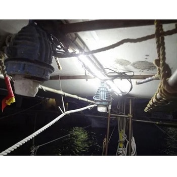 LEDテープライト 1連 電球色(5m) DC24V マリンテック