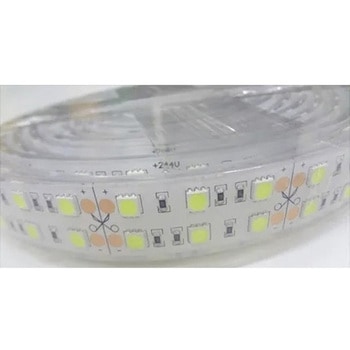 LEDテープライト 2連 白色(5m) DC24V マリンテック