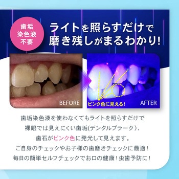 デンタルプラークチェックライト シルバー OMNI