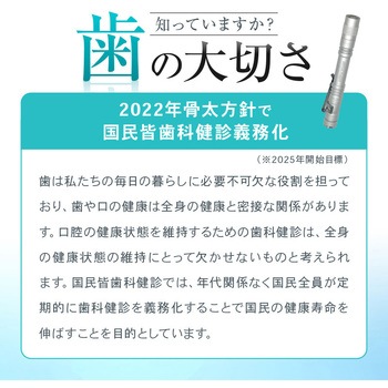 デンタルプラークチェックライト ブラック OMNI