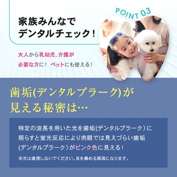 デンタルプラークチェックライト ブラック OMNI