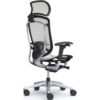 コンテッサセコンダ、可動肘、固定ヘッド、座メッシュ、ハンガー無、ランバー付、ブラックB、ポリッシュ、脚ポリッシュ、ウレタン オカムラ(岡村製作所)