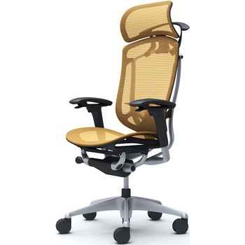 コンテッサセコンダ、可動肘、固定ヘッド、座メッシュ、ハンガー付、ランバー付、ブラックB、シルバー、脚シルバー、ウレタン オカムラ(岡村製作所)